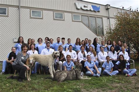 Vca wakefield - VCA Wakefield Animal Hospital. 60 Audubon Road Wakefield, MA 01880. Get Directions HOURS Mon: 